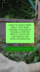 Did you know that snail farming in Nigeria can have a positive impact on the environment and promote sustainability? Here are 7 surprising benefits: it reduces pesticide use, lowers carbon footprint, increases soil fertility, creates natural compost, conserves natural resources, promotes biodiversity, and encourages eco-friendly practices. By embracing snail farming, we can contribute to a cleaner, healthier planet while also supporting economic development. Start exploring the benefits of snail