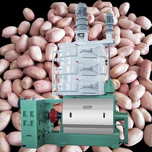 [Hot Item] Peanut Oil Pressing Machine Groundnut Oil Expeller