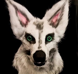 Realistic Wolf Fursuit Head | Handmade Wolf Mask | Black White Gray Colors | Opens Mouth | Furry Fans Cosplay | Teen Gift Idea - Etsy