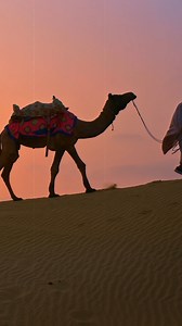 93K views · 4.4K reactions | Allah loves forgiveness | Tuaha ibn Jalil | Tuaha Ibn Jalil | Facebook