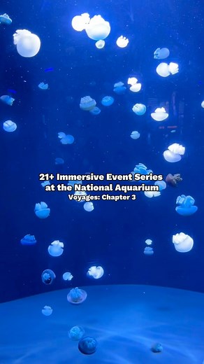Only a few tickets left for the @nationalaquarium’s adults only immersive event series happening Thursday, July 20th from 6-11pm! Voyages: Chapter 3 combines art and science and celebrates the city of Baltimore. This event will have food, cocktails, art installations, special performances and more! I’ve gone to chapters 1 and 2 of the series and think it’s fun, unique way to explore the Aquarium as an adult. Tickets can be purchased on Eventbrite! 💙 ✨More details✨ When: Thursday, July 20, 2023 
