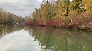 Erin Murphy on Reels