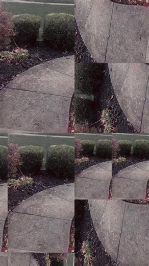 March snow ❄️ #WakeUpCBUS #Ohio #thisishome | Tracy Townsend