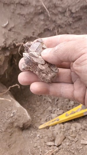 Finding cactus quartz in the Colorado Rockies. Watch until the end for the clean up ⛏️💎 | Colorado Geology