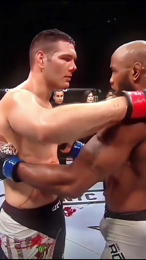 UFC 205: Chris Weidman vs Yoel Romero Knockout