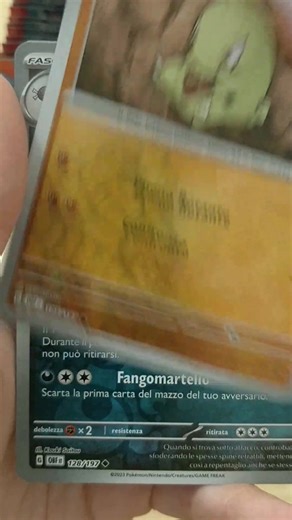 Alessandro Zecchi su TikTok