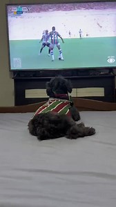🥰🥰🥰 | Insolite-Football