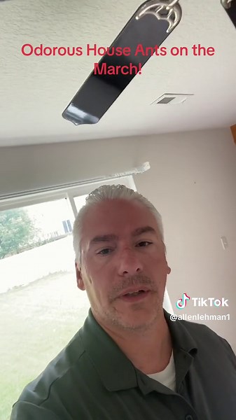 perfectionpest on TikTok