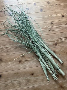 簡単に庭でマコモ栽培,手作りマコモ茶