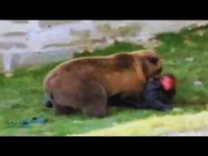 The Most Gruesome Bear Attacks of 2023