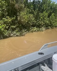 When your missus throws better circles then you 😂😂🎣🎣 | Caught on Fishing