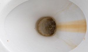 Clean It, Fix It: Maxine reveals how best to remove toilet limescale