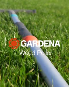 The Weed Puller helps you to effectively remove unsightly weeds in your lawn and flower beds. The gap between the patented narrow blades is extremely small so that precise work can be carried out and only small holes are left behind.  | GARDENA | Facebook