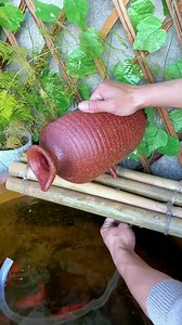 209K views · 1.6K reactions | Design a relaxing fish tank now thuysinh cacanh aqua ca mau setup | Betta Fish | Facebook