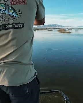 Fish hate the RPM Nitro XX