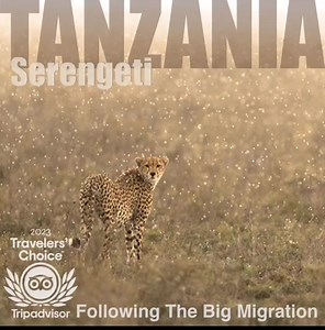 18 reactions | Great Image Expedition Ltd www.gie.co.tz | Great Image Expedition | Facebook