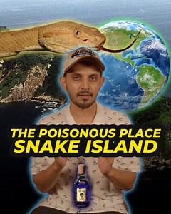 8K views · 171 reactions | The Poisonous Place Snake Island -...