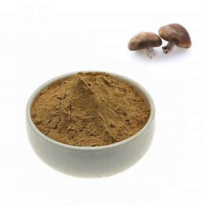 [Hot Item] Nature Food Additives Herb Polysaccharide 60% Lentinus Edodes Shiitake Mushroom Shitake Extract