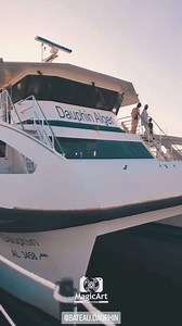 #Bateau #dauphin #goodvibesonly Bateau Dauphin رحلات بحرية طيلة أيام الأسبوع. مكان الانطلاق ميناء الجميلة لامادراك عين البنيان . مدة الرحلة ساعة واحدة ذهاب وإياب . | Bateau Dauphin