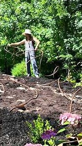 Garden Drip Irrigation for Automatic Watering #gardeningtips #gardening #garden #dripirrigation