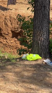 HIGH OCTANE FILMS on Reels