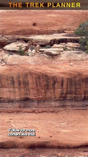 Whoa! I saw this across the canyon!