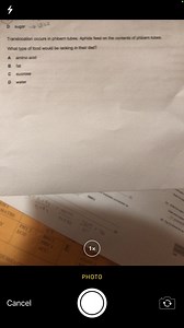 4 D sugar e Translocation occurs in phloem tubes. Aphids feed o... | Filo