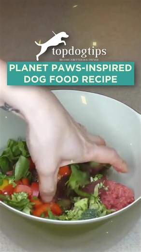 1.6K views · 12 reactions | 數 Looking for homemade dog food recipes packed with nutrients? This raw food recipe from Planet Paws uses fresh, natural ingredients.  Click here for the full recipe + serving suggestions and nutritional benefits: https://topdogtips.com/planet-paws-dog-food-recipe/ #dogfood #rawdogfood #dogfoodrecipe #diydogfood #homemadedogfood #rawdiet #planetpaws | Top Dog Tips | Facebook