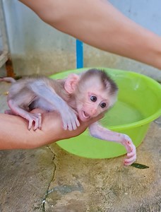 Time to bathed baby before drink milk🍼 | LuLu Family