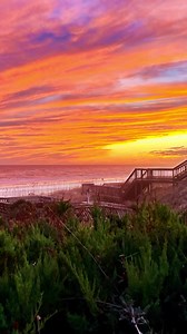 Why is Emerald Isle your favorite beach destination? #beach #ocean | Emerald Isle Realty, Inc.