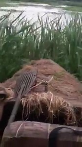 12 reactions | County Line Boats on Reels | Facebook