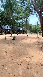 1.2K reactions · 156 shares |  Sea-View Bungalows on Koh Ta Kiev Island Resort  Wake up to the sound of waves, step onto warm sand, and start your day with the sea right in front of you. Just nature, comfort, and a horizon you can watch for hours. Perfect for couples, friends, and anyone who loves the sea.  Koh Ta Kiev Island Resort Book your bungalow — wake up by the sea. Whats app + 855 069 990 510 | Koh Ta Kiev Island Resort | Facebook