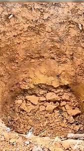 213K views · 536 reactions | Malaking python naninirahan sa ilalim ng ingod #nature #fbpost #fblifestyle #fbreelsvideo #OMG | Jenieca Espiel | Facebook