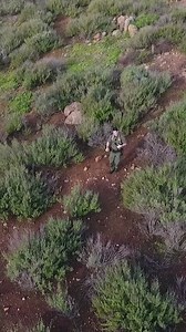 4K views · 45 reactions | Weekly Update, 2/14/24 – 2/20/24 -7,531 Apprehensions from 75 countries -167 Unaccompanied Minors Encountered -51 Rescues -32 Human Smuggling Events Interdicted -2 Sex Offenders Arrested SEIZED: -42 lbs. Methamphetamine -17 Smuggling Conveyances . . . . . #BorderSecurity #BorderPatrol #drugseizure #weeklyupdate #immigration | US Border Patrol San Diego Sector | Facebook