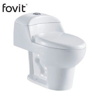 [Hot Item] Hot Sale One-Piece Dual Flush Ceramic Wcwith Siphonic Jet Flushing Toilet