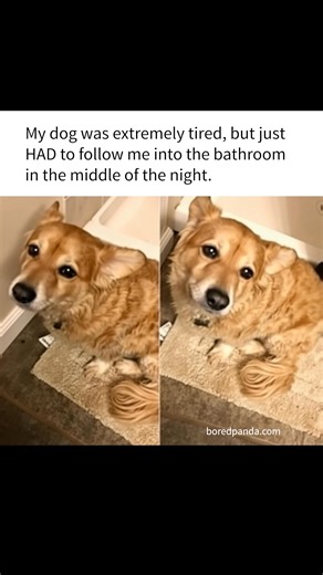 Bathroom Security Detail: Always On Duty | Hilarious Ted