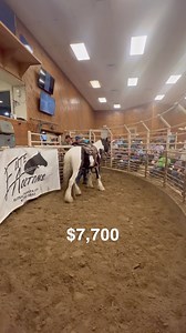 TAG #114 Sold $7,700 | Elite Auctions LLC