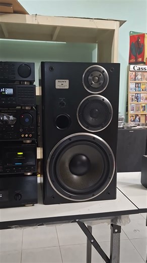 ขาย SONY-LBT-V950