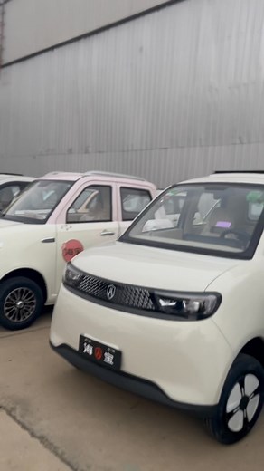 Electric Vehicle | Haibao Electric Vehicle Factory