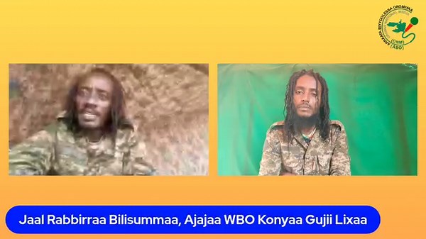 Marii Ajajaa WBO Godina Gujii Lixaa, Jaal Rabbirraa Bilisummaa waliin taasifnetti dhiyaadha ! | Arraata ONM