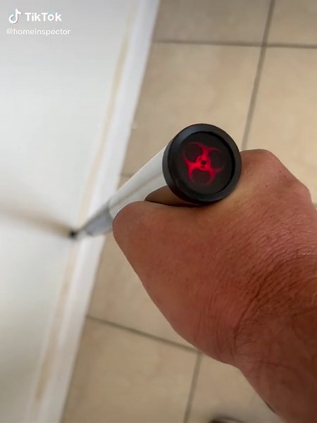 Shark Encounters in Miami: Home Inspection Insights