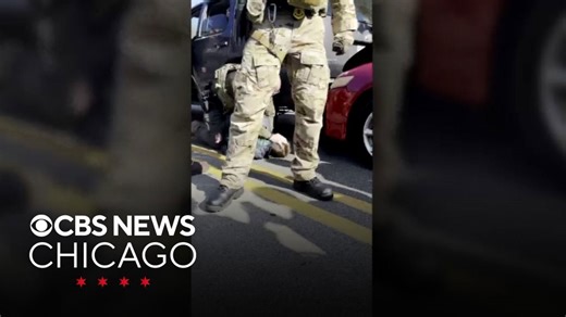Border Patrol agent caught on video hitting man in the head while pinned down in Evanston