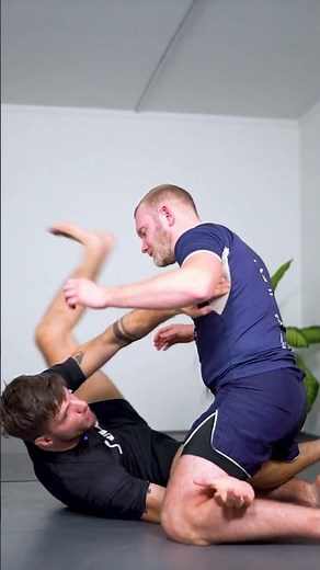 Z-guard LEG ATTACKS #mma #bjj #brazilianjiujitsu #submission