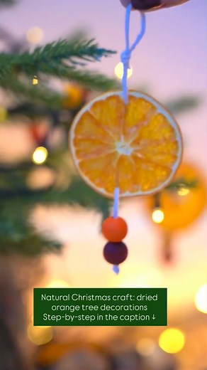How to Make Dried Orange Decorations 🍊✨ Here’s how we made the dried orange slices for our decorations, simple, low-waste, and they smell amazing as they bake. You can use any citrus: Oranges, blood oranges, lemons or limes all work beautifully. Oranges give the warm golden look, lemons go pale and delicate, and blood oranges turn deep ruby red. How to dry them Slice your citrus thinly (around 5–7mm). Pat dry with a tea towel to remove excess juice. Lay the slices on any baking tray lined with