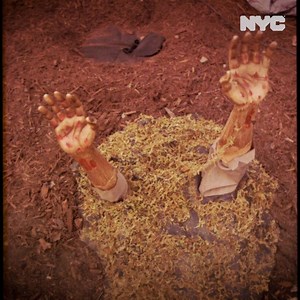 Are you afraid of a haunted house? | NYC Mayor's Office