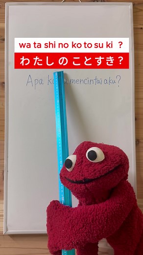 TAKO(タコ)のことを愛する？