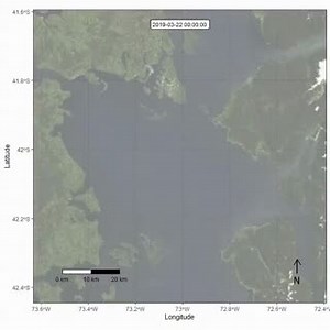 40K views · 744 reactions | Blue Whale dodging ships while trying to...