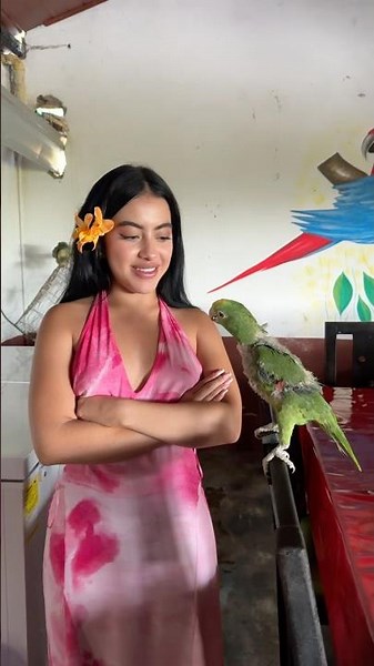 I made friends with a little parrot 🥹 #laurasofia #humor #content