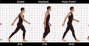 Walk Cycle Reference