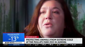 🌟 PHILLIPS PARK ZOO ADAPTS TO COLD WEATHER, KEEPS ANIMALS SAFE With the Phillips Park Zoo closed through Sunday, January 21 due to extreme winter weather, staff are working hard to keep animals safe and warm. "We go through things like straw a lot more when it is this type of weather," said Zoo Manager Anna Borozenets. "Same with hay. Those are all consumable items that we do have to purchase, so those are all things that we roll through a lot quicker." Borozenets said that nearly every one of 